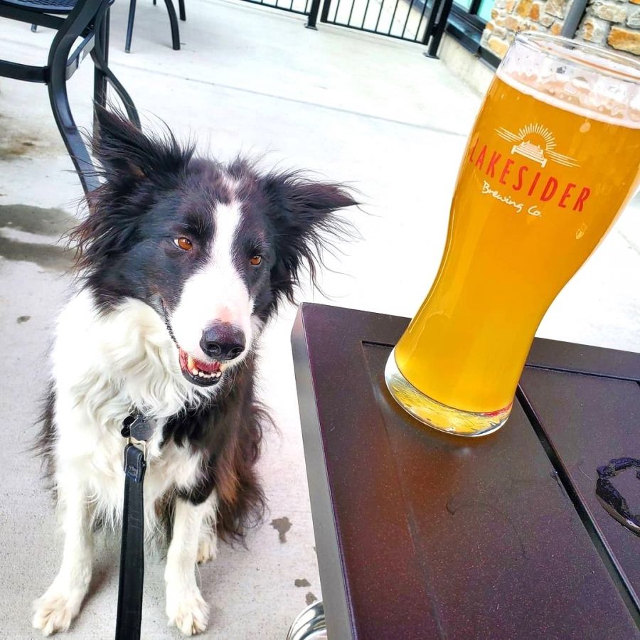 <who>Photo credit: Instagram</who>At Lakesider Brewery.