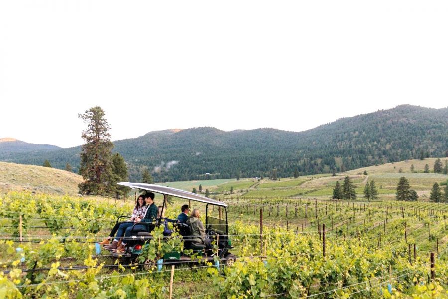 <who>Photo credit: Garnet Valley Ranch Winery</who>The electric people mover (it's really a modified golf cart) is also used for wine tours.