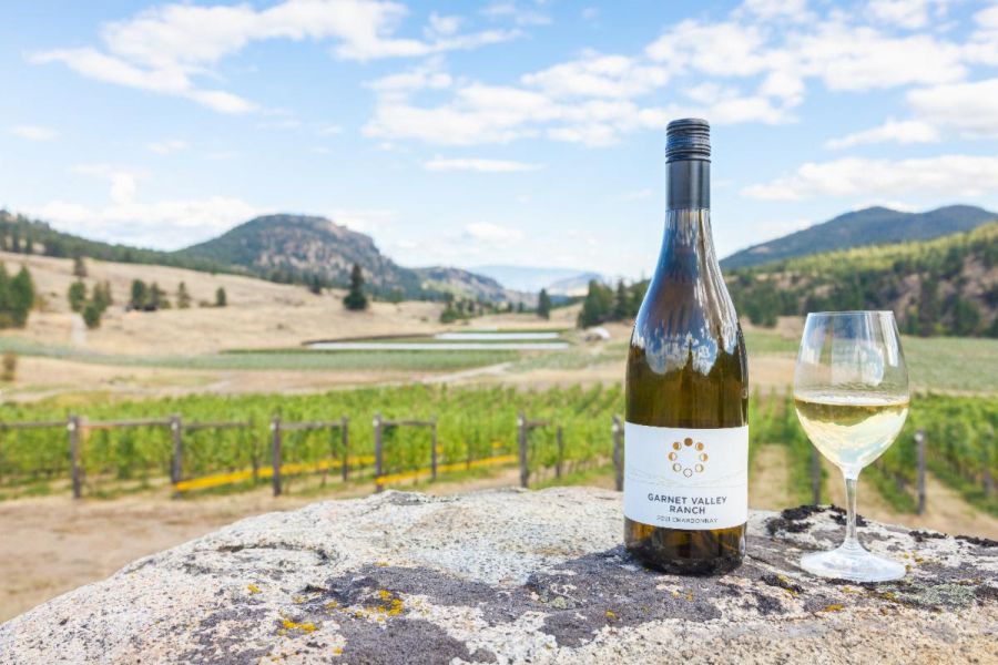 <who>Photo credit: Garnet Valley Ranch Winery</who>Chardonnay with a view at Garnet Valley Ranch Winery.