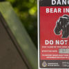 Mother bear that attacked woman in BC won't be killed