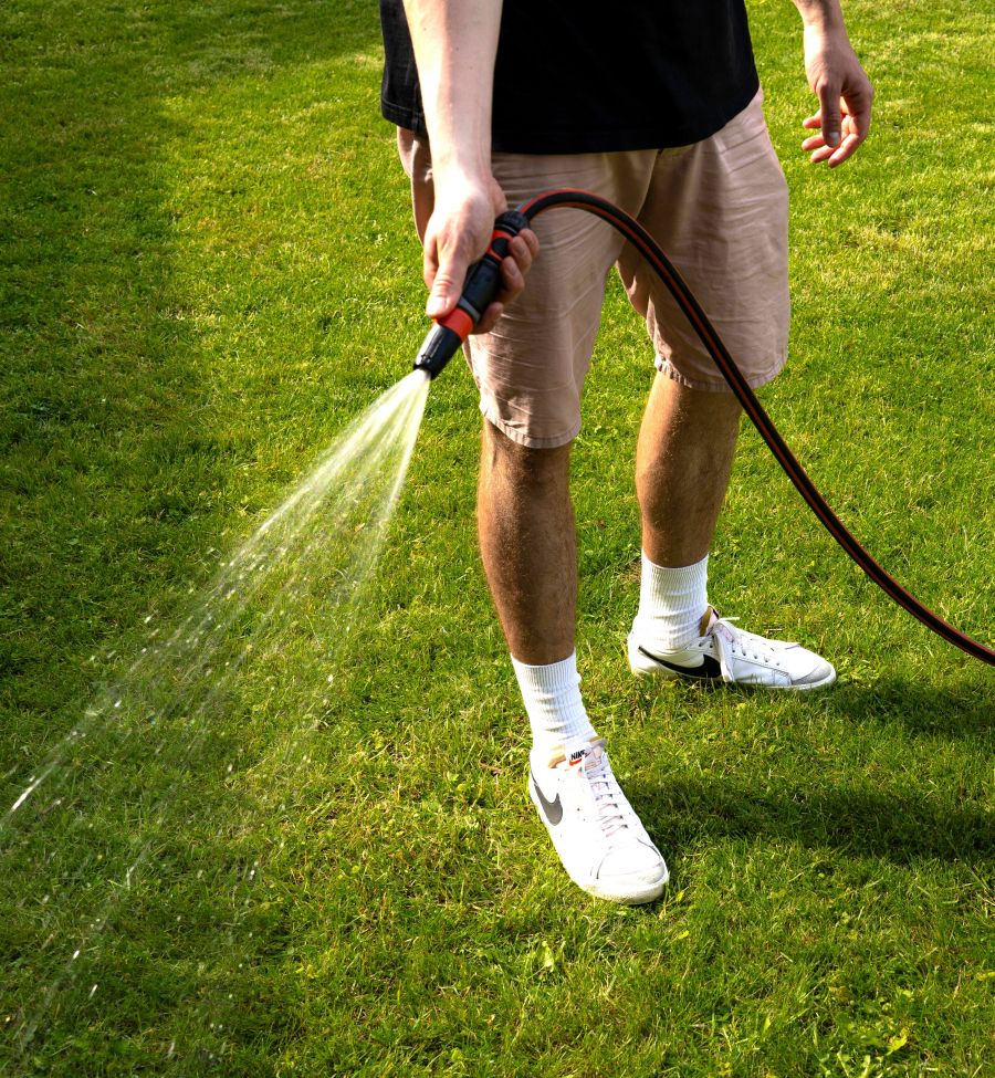 <who>Photo credit: Anastasiya Badue on Unsplash</who>You can hand water your lawn, garden and plants anytime.