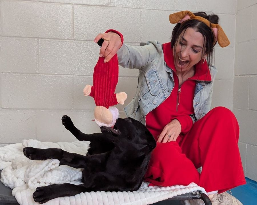 <who>Photo Credit: BC SPCA