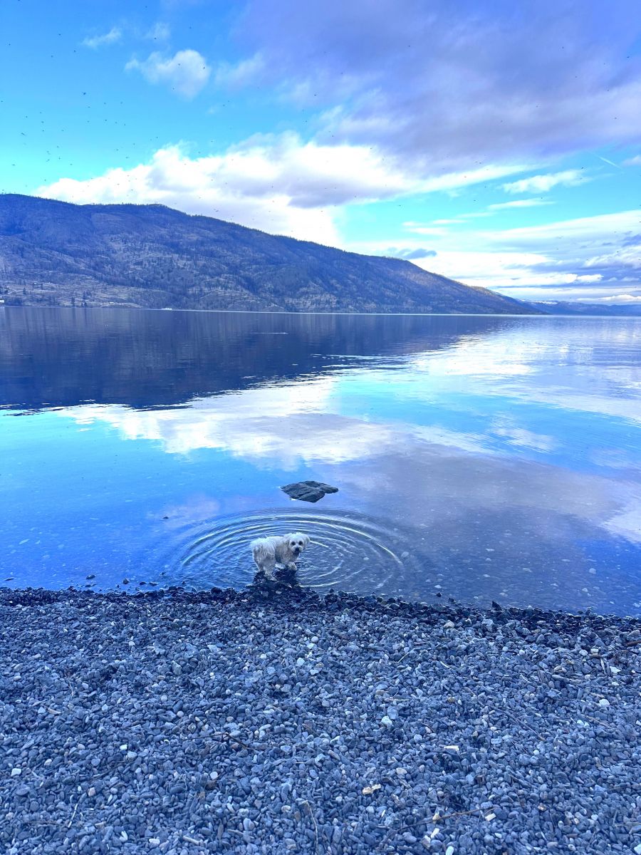 <who>Photo credit: Kerry MacNaull</who>It's positively spring-like at Paul's Tomb Beach in Kelowna.