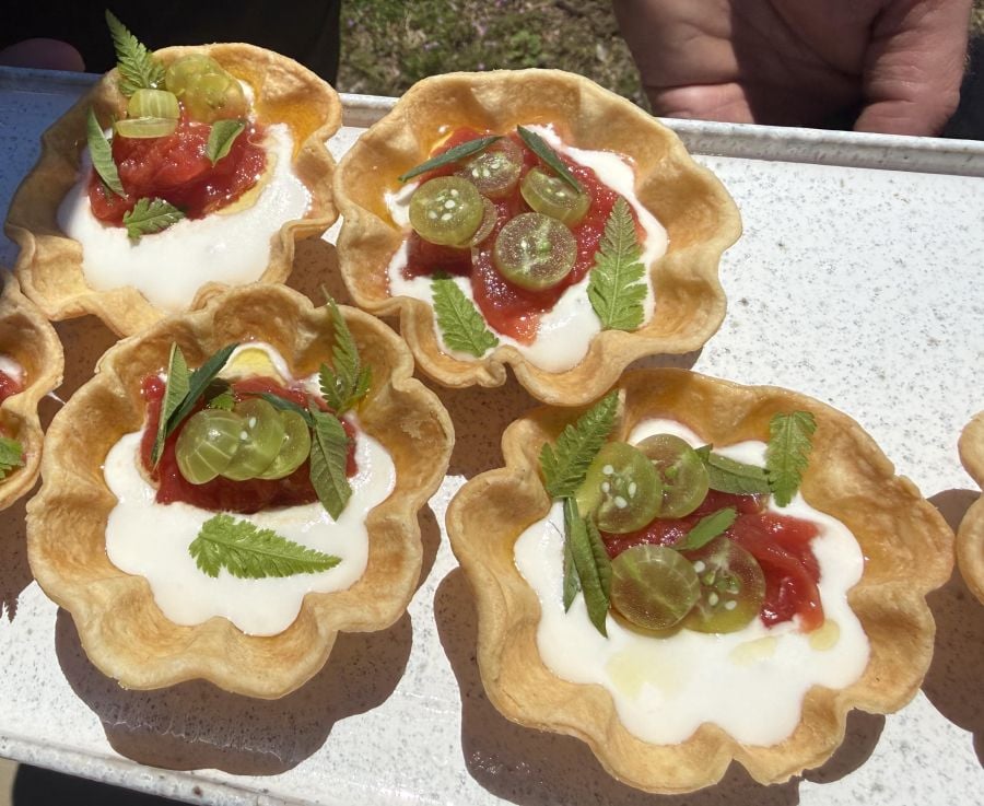 </who>A close up of those tarts.