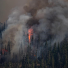 Inaccurate data on forest fuels may stoke BC wildfires, study finds