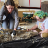BC researchers confirm footprints of three-toed dinosaur with club-like tail