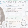 Alberta merging health care number, proof of citizenship with driver's licence