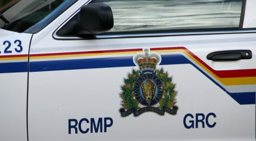 Gun allegedly pointed at driver after road rage incident, BC couple arrested